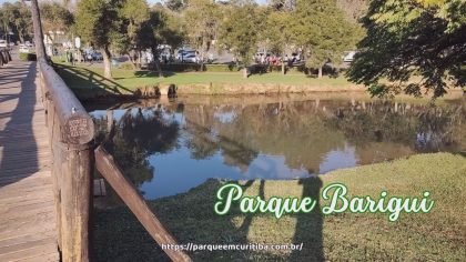 Ponte de madeira no parque barigui em Curitiba