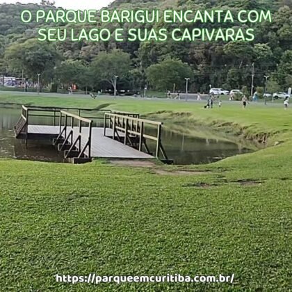 O Parque Barigui encanta com seu lago e suas capivaras O Parque Barigui encanta com seu lago e suas capivaras