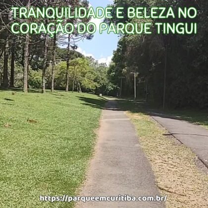 Tranquilidade e beleza no coração do Parque Tingui
