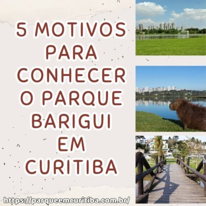 5 motivos para conhecer o parque Barigui em Curitiba