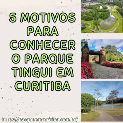 5 motivos para conhecer o parque Tingui em Curitiba 5 motivos para conhecer o parque Tingui em Curitiba